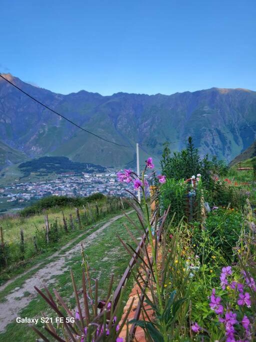 Peak House Villa Kazbegi Exterior photo